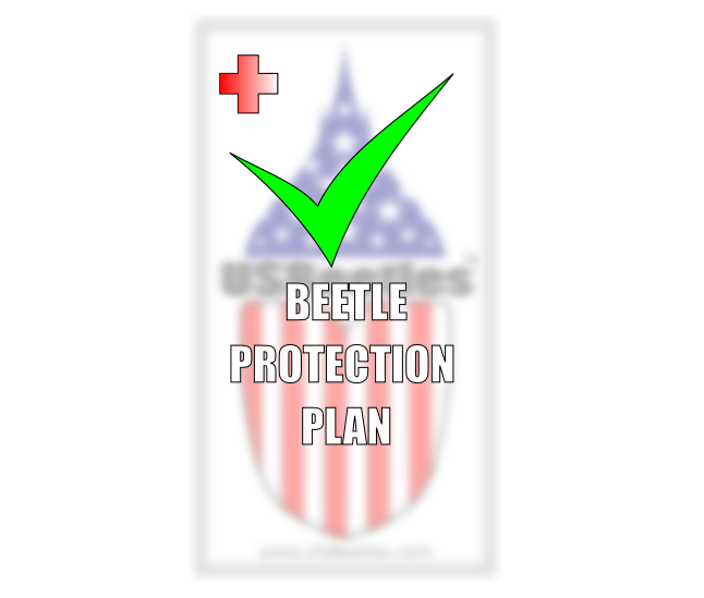 Protection Plan